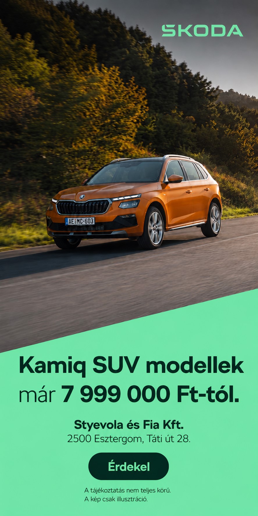 Styevola és Fia Kft.