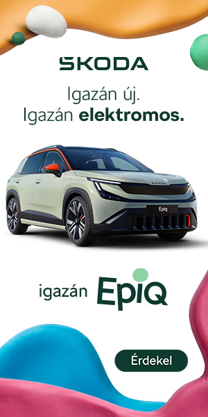 Styevola és Fia Kft.