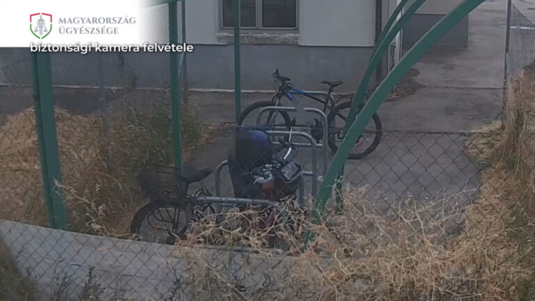 Csacsi kerti díszt és díszgombát is lopott