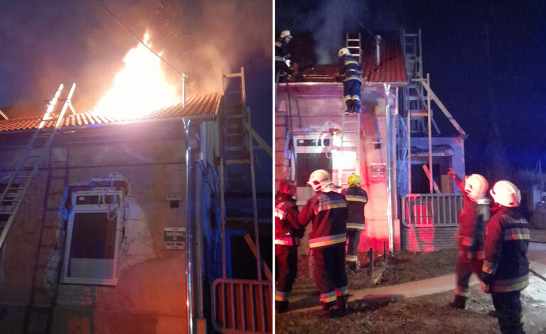 Tinnyére siettek az esztergomi és a bajnai tűzoltók