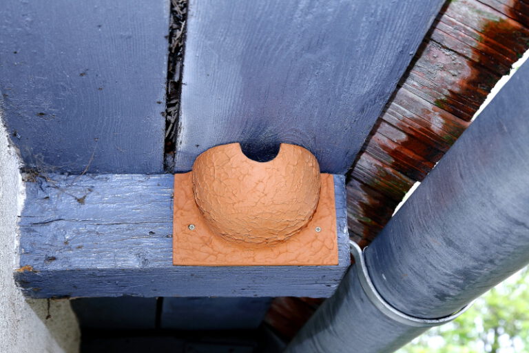 A tavasz kiemelt fecskevédelmi időszak