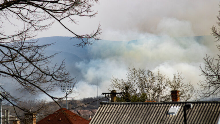 Ismét szabadtéri tűzhöz riasztották a tűzoltókat