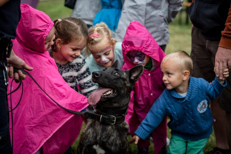 Elindult a regisztráció a KutyaJÓ Gyereknapra