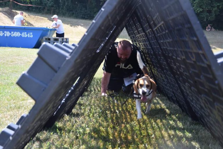 Kutyafuttában Mogyorósbányán