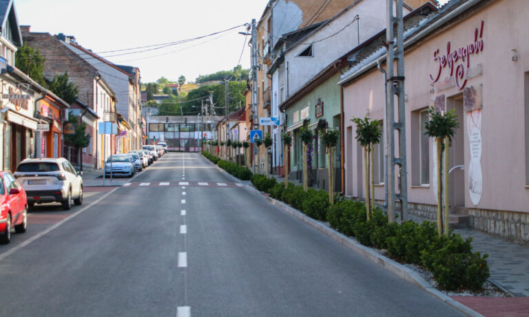 Fákat és cserjéket ültettek a Mária utcában