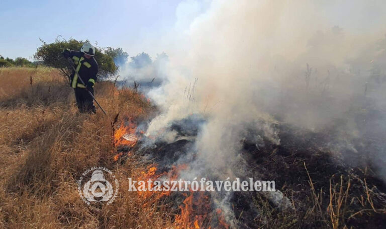 Szabadtéri tüzekhez vonultak a tűzoltók