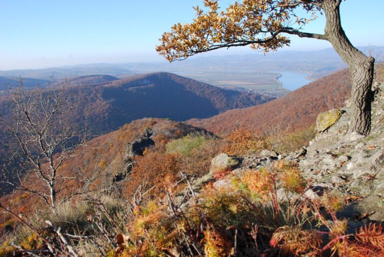 Látogatószámlálásra keresnek önkénteseket