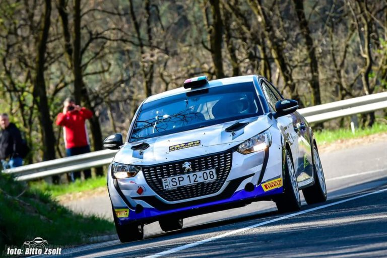 Sztárfellépőkkel várják az érdeklődőket Sárisápon