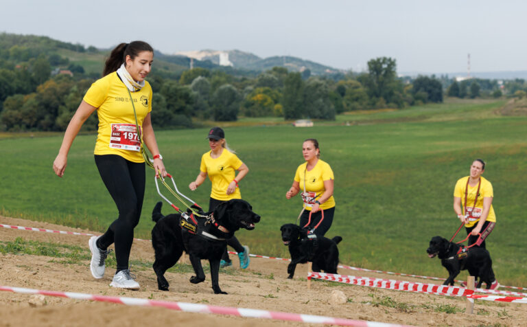 Kutyás akadályfutó versenyt rendeztek Piliscséven