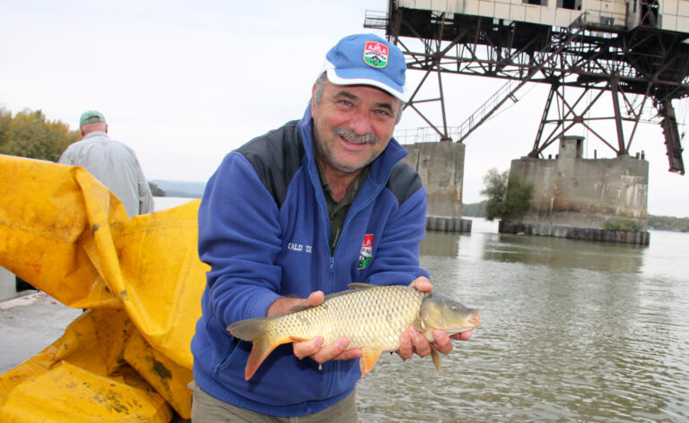 Halakat telepítettek Esztergomnál és Neszmélynél