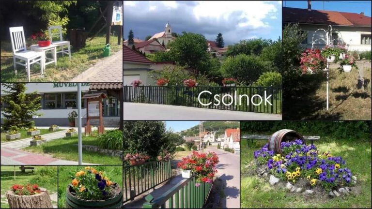 Ismét elismerték a csolnoki közösség munkáját