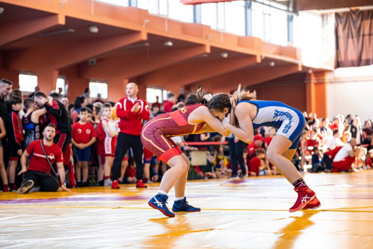 Dorogi birkózósikerek