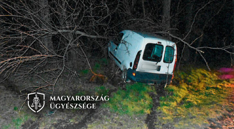 Ittasan, jogsi nélkül vezetett, végül a fa állította meg