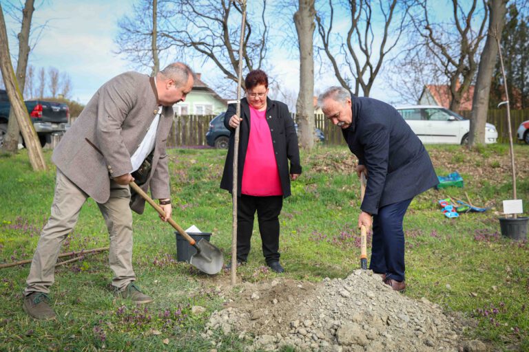 Megkezdődött a Településfásítási Program tavaszi ültetési időszaka