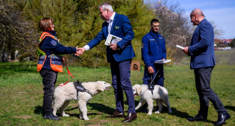 Kuvaszok segítik a polgárőrök munkáját