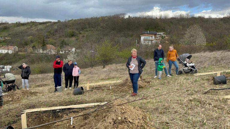 30 hársfát kapott Csolnok