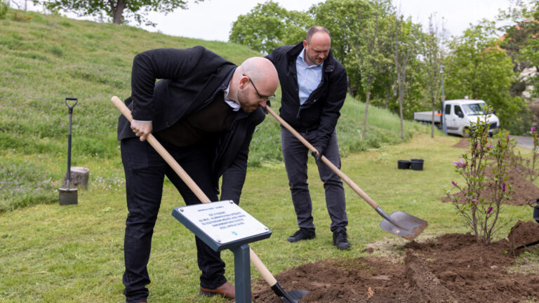 Faültetés a zöldebb Esztergomért