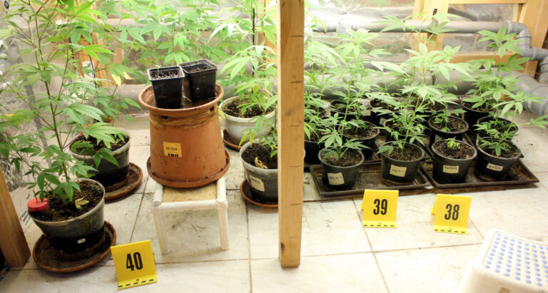 4 vármegye, 15 helyszín, 12 kilogramm kábítószer