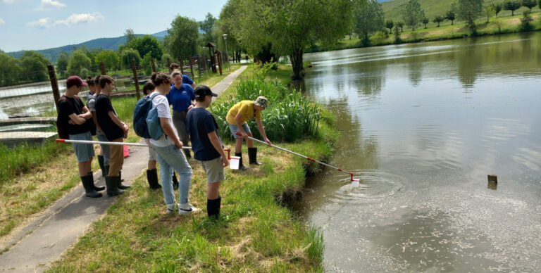 Erdei iskolát tartottak a teremtésvédelem jegyében