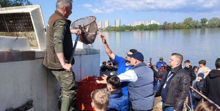 Harminc kilométerre vándorolt egy esztergomi kecsege