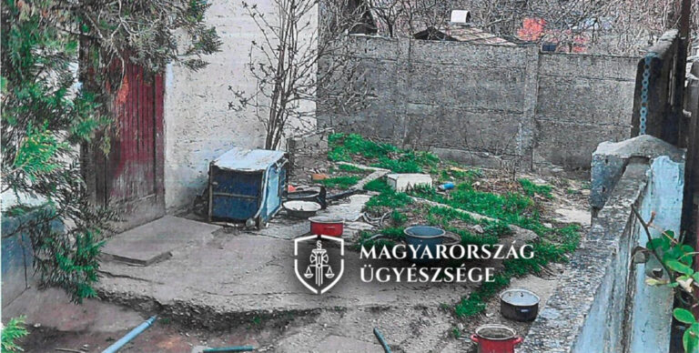 Étlen-szomjan a vizes betonfalat nyalogatta az elhanyagolt kutya