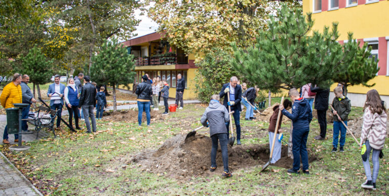 Fákat ültettek a dorogi iskolások