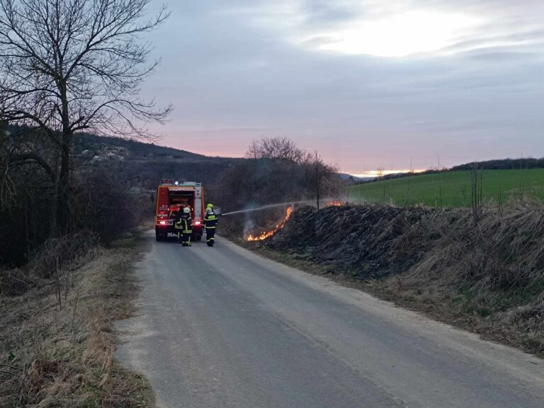 Aljnövényzet égett Sárisápnál