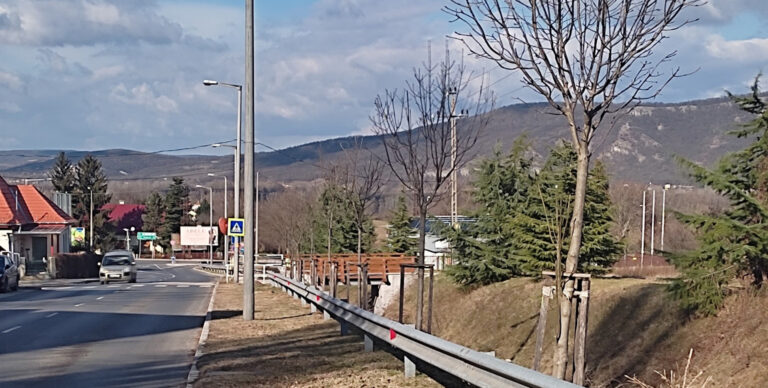 Faáttelepítési munkálatok Esztergomban