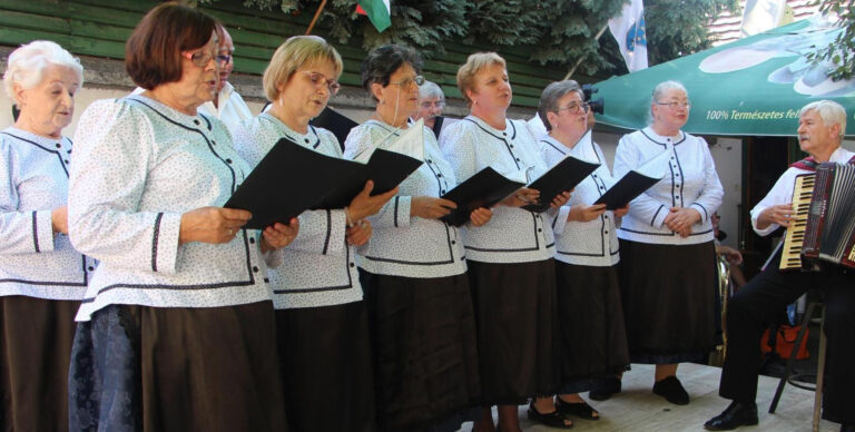 Falusi búcsút rendeztek Dorogon