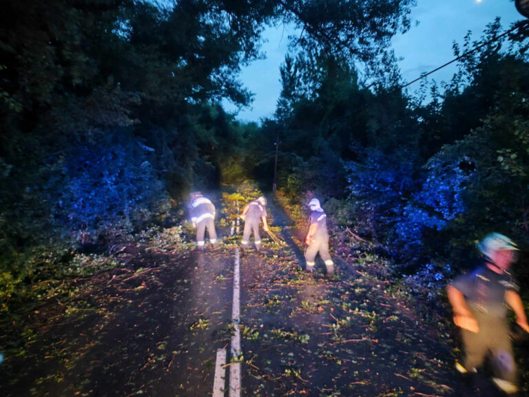 Főképp a viharkárok adtak munkát a tűzoltóknak vármegyében