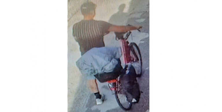 Tokodaltáróról lopott, a rendőrség a lakosság segítségét kéri