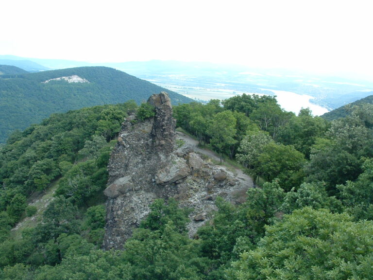 Őszi kalandok a Pilisi Parkerdőben