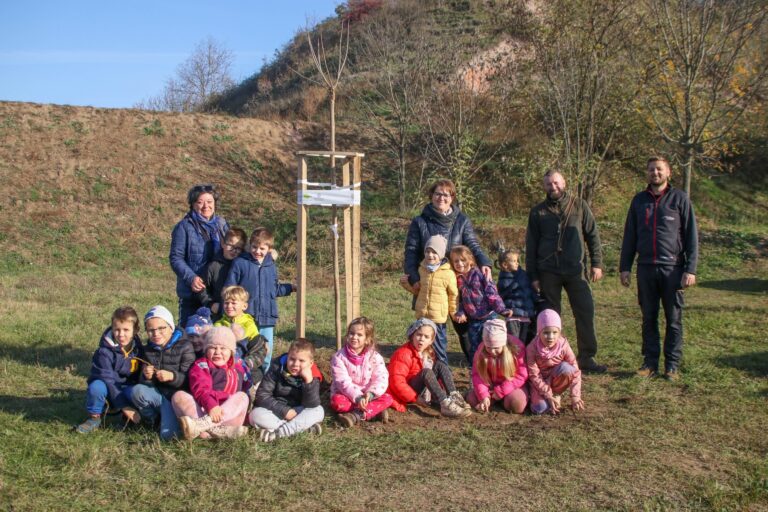 Fákat ültettek Tokodon és Kesztölcön