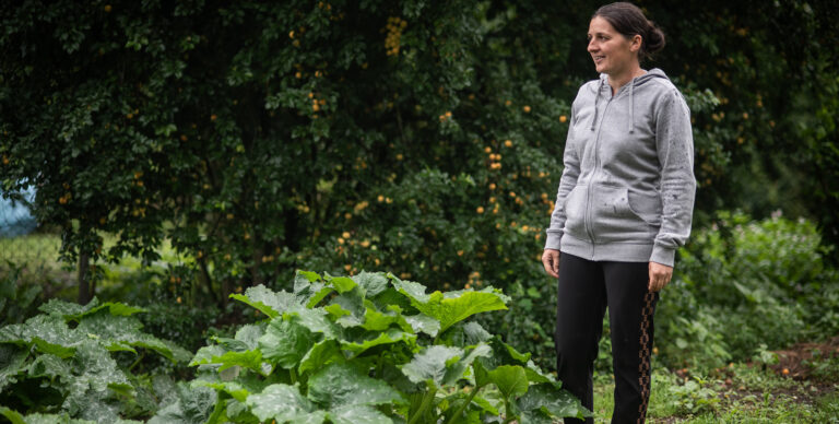 Közel tízezer embert ért el a Karitász a növénytermesztési programjával