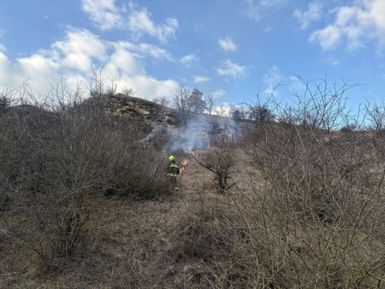 Száraz fű égett Tokodon