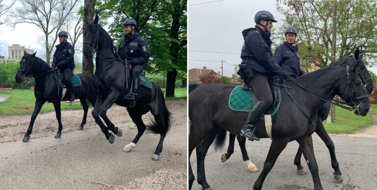 Lovasrendőrök ellenőriztek térségünkben