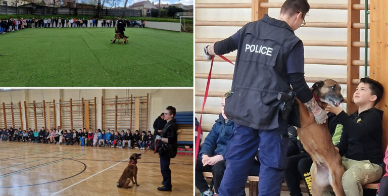 Rendőrkutyás bemutatót tartottak egy esztergomi iskolában