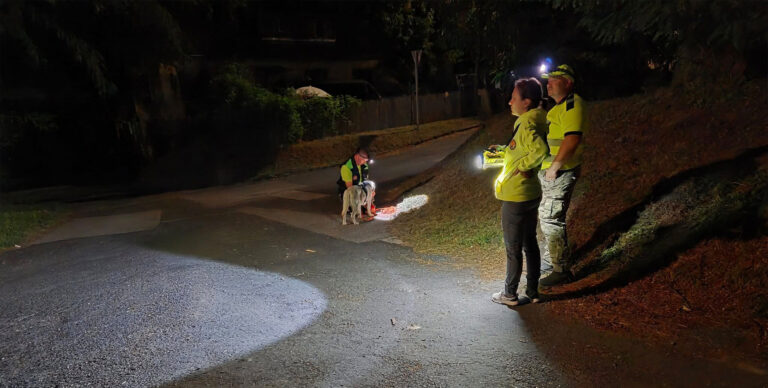 Nyergesújfaluról eltűnt idős hölgyet kerestek