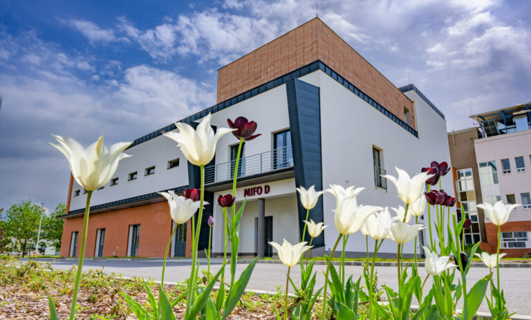 A Richter dorogi telephelyének fejlesztése és jövője