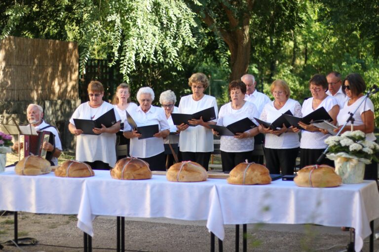 Elismeréseket adtak át Kesztölcön