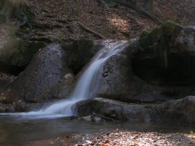 A csepegő kövek igézetében