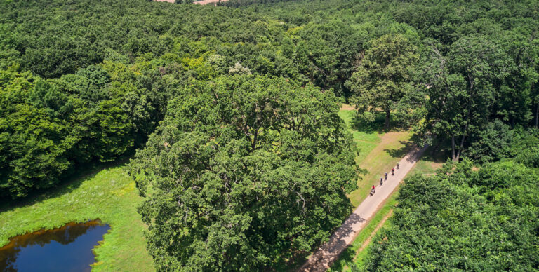 Elindult a szavazás: válaszd meg Te az Év Erdei Kerékpárútját 2025-ben!