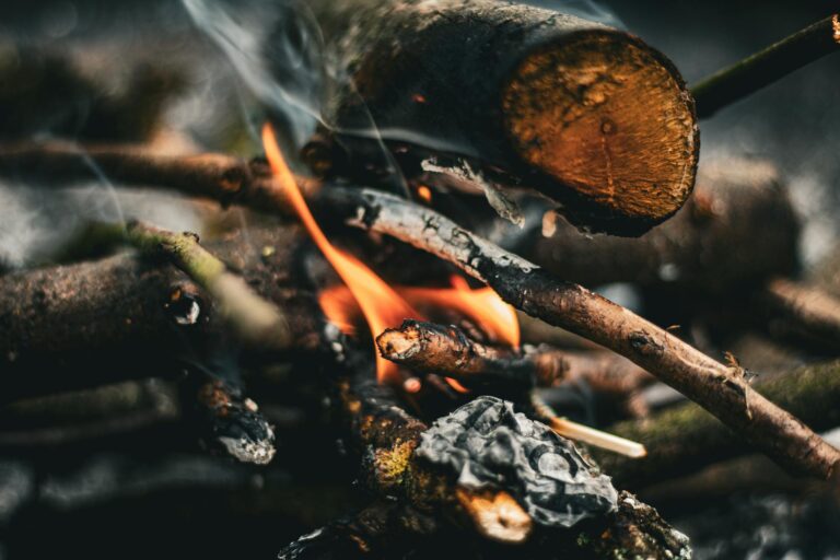 Megszűnt a tűzgyújtási tilalom vármegyénkben