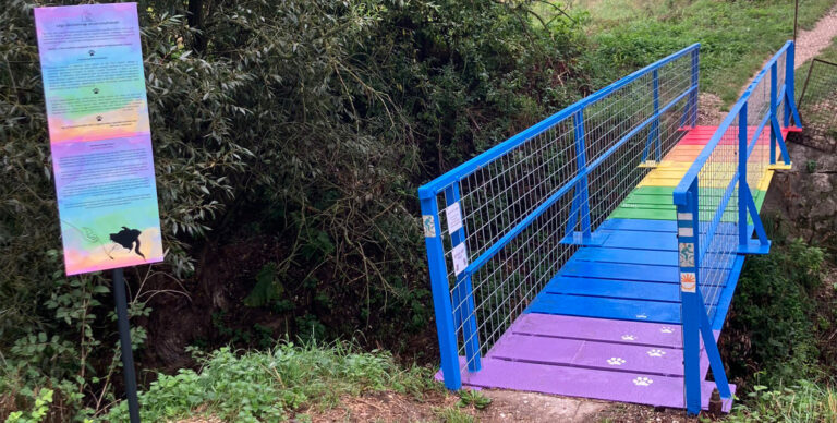 Szivárványhidat hoztak létre az eltávozott kedvencek számára Dorogon