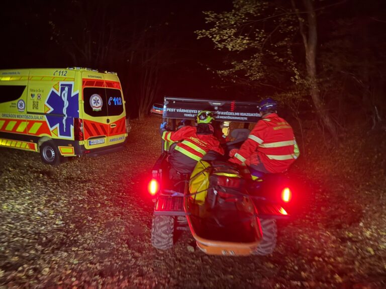 Az erdő mélyéről hallott segélykiáltásokat egy túrázó