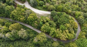 Kihirdették az „Év Erdei Kerékpárútja” nyerteseit