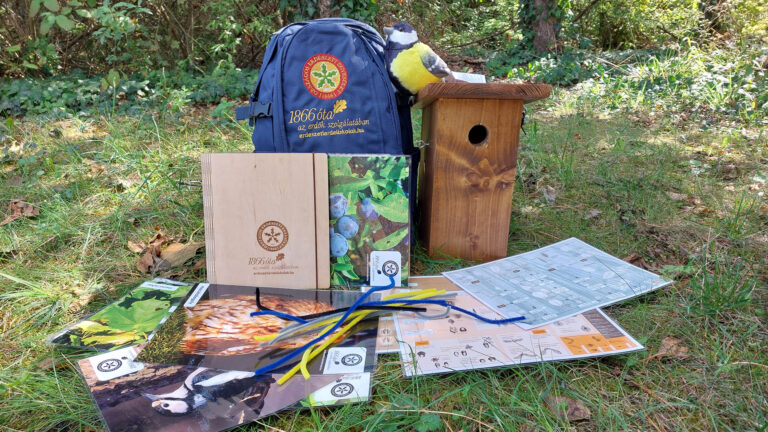 Fedezd fel az erdőt az erdészekkel! – Elindult a 2025-ös Erdők Hete