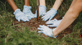 Megkezdődött 75 fa telepítése Dorog lakótelepein
