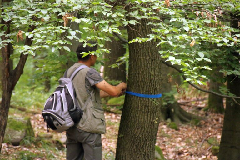 Közösségi alapú mintaprojekt indult a Pilisben