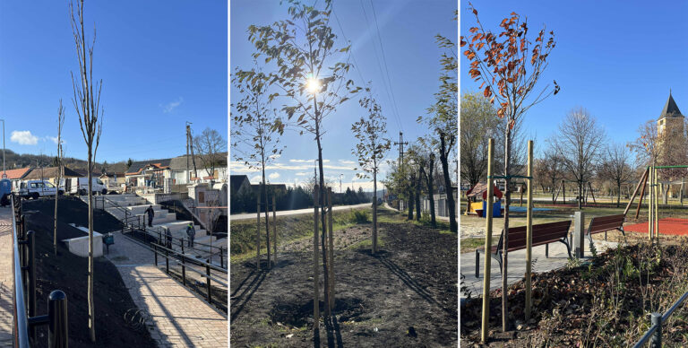 265 új fát ültetnek Dorogon – zajlik a város zöldinfrastruktúra-fejlesztése